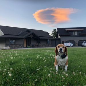 Meet your Posher, Jason